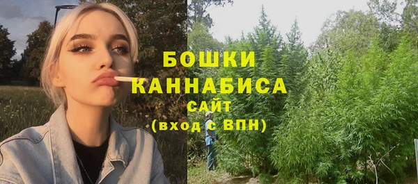 apvp Михайлов