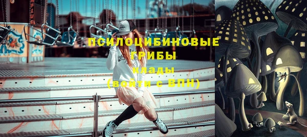 apvp Михайлов