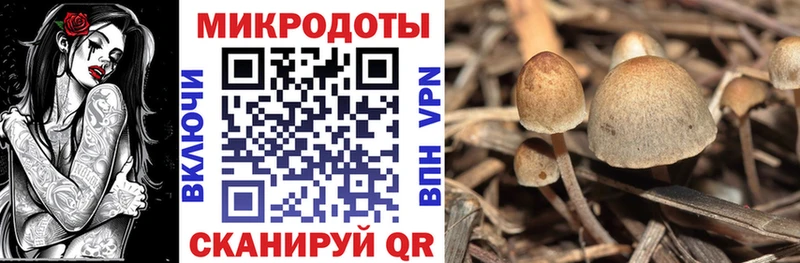 Псилоцибиновые грибы GOLDEN TEACHER  Терек 